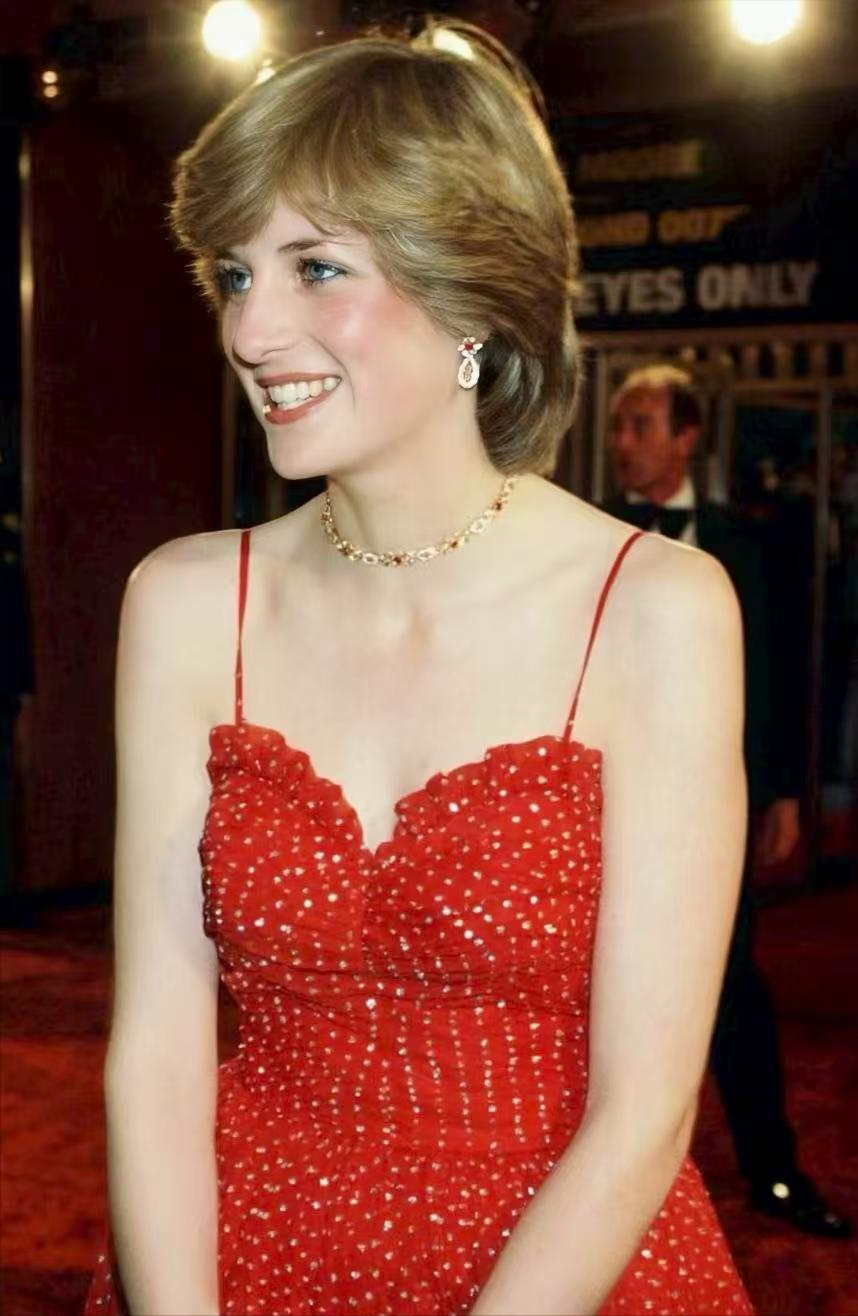 戴安娜生第一个孩子之前，查尔斯只是很敷衍的碰过她一次，或两次